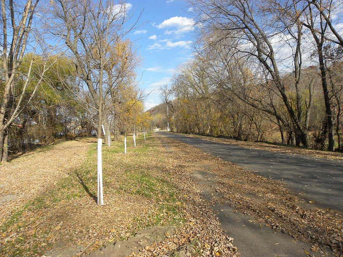 Phase 2 construction 02